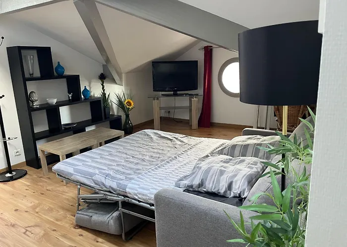 L'escapade Landaise, Confort, Et Soleil * 닥스